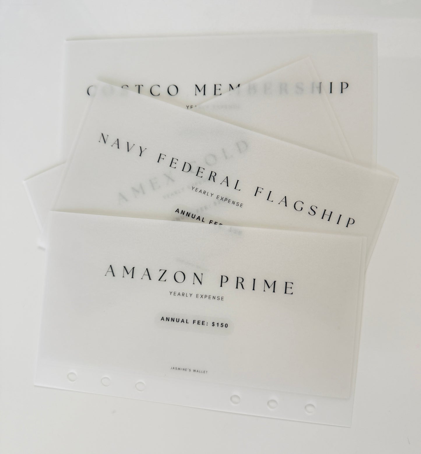 Goal-Oriented Cash Envelopes | A6