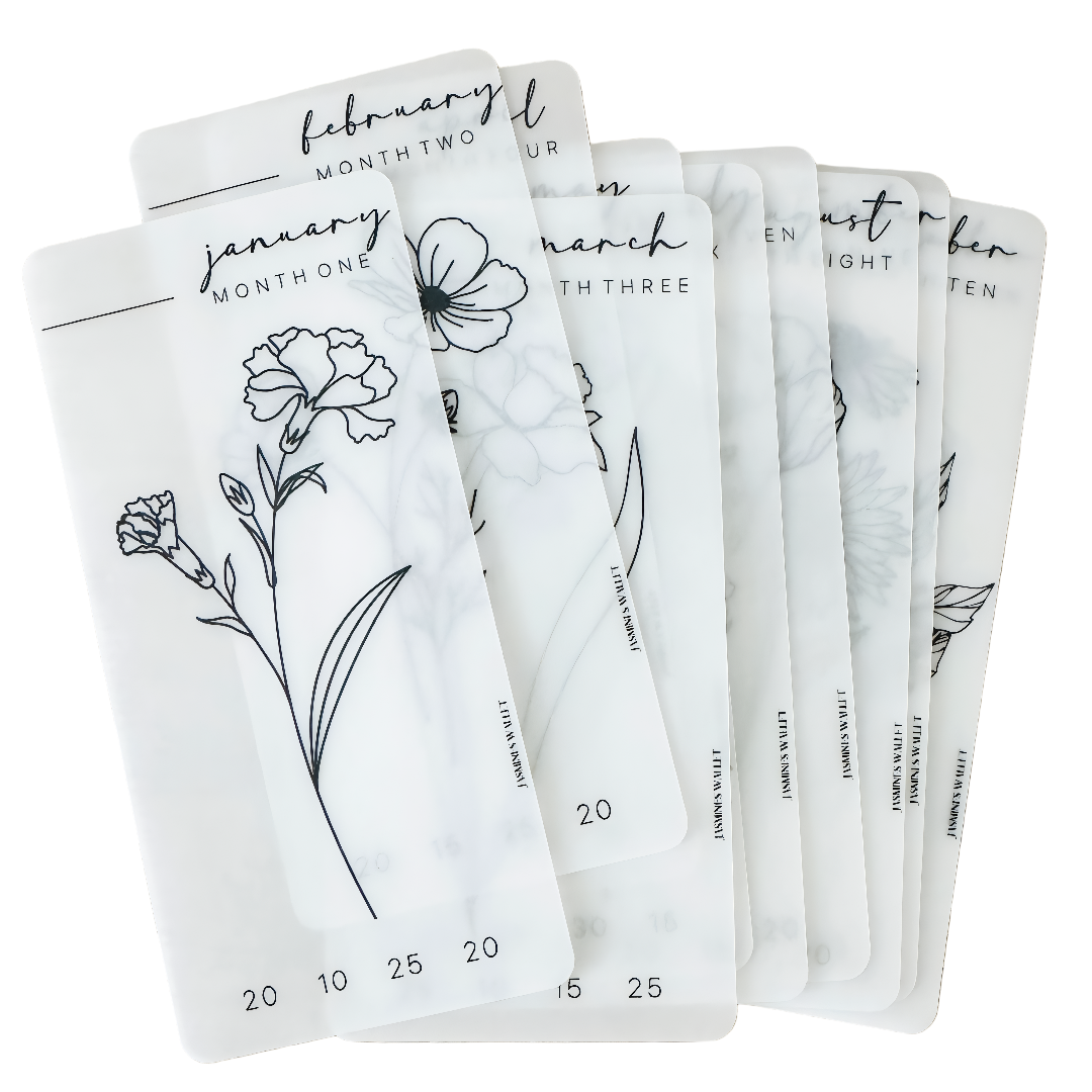 Save More Challenge – Black Friday Edition