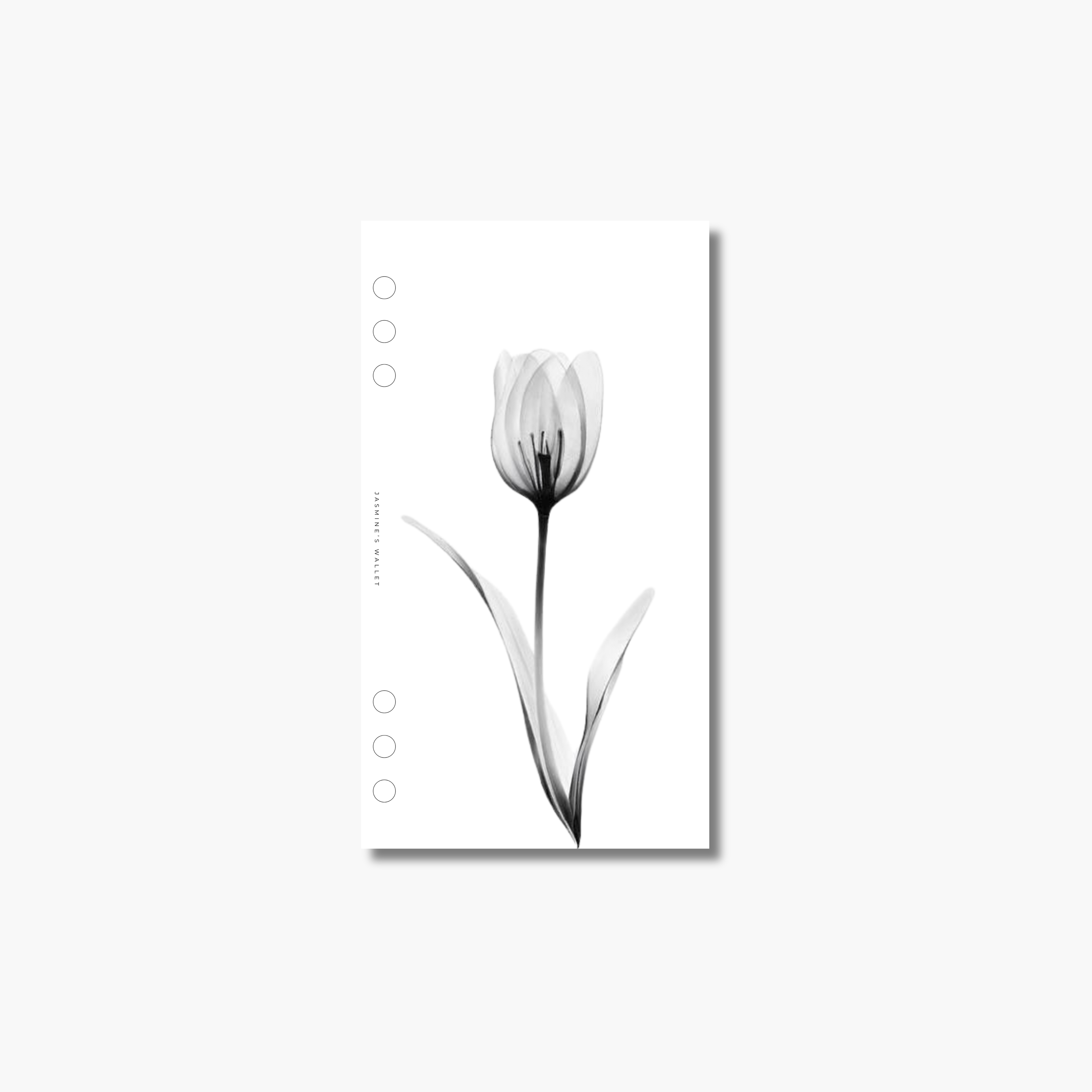 Tulip Dashboard