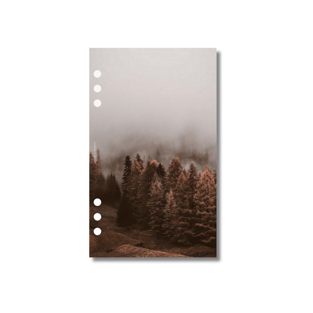 Amber Forest Dashboard | Linen
