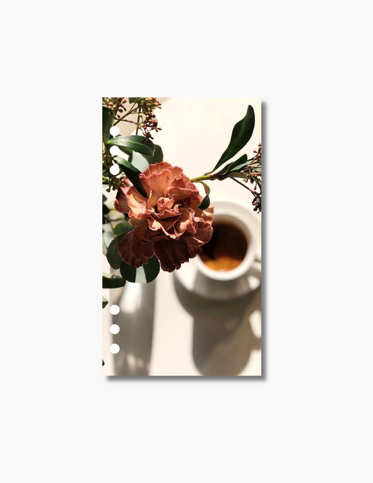 Bloom + Brew Dashboard