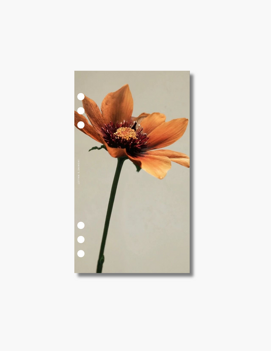 Amber Petal Dashboard