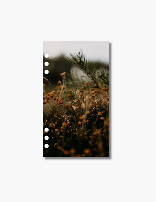 Autumn Fields Dashboard
